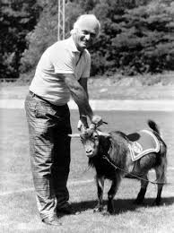 Wir möchten unserem chef zwei karten schenken und möchten natürlich nicht das er zwischen den haupttribune & stehtribunen : 1 Fc Koln