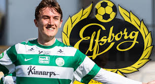 .icons internet icons iphone logos media icons medical miscellaneous money motorola movies if elfsborg logo icon. Elfsborg Is Recruiting Central Defenders From The Superettan