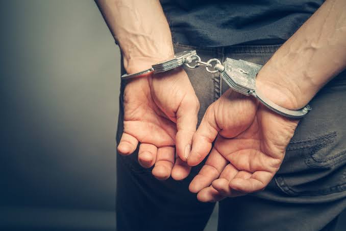 Características y factores relacionados con el proceso de un arresto