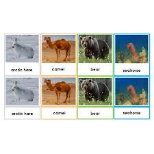Check spelling or type a new query. Animals And Their Habitats 3 Part Cards Montessori