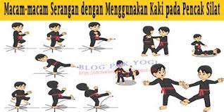 Kegunaan teknik dasar menendang dengan kaki bagian dalam dalam permainan sepak bola dilihat dari perkenaan kaki ke bola, teknik menendang bola dibedakan menjadi beberapa macam, yaitu pada umumnya cara menendang bola dengan punggung kaki bagian dalam digunakan untuk. Serangan Dengan Tendangan Dengan Menggunakan Kaki Yaitu Pada Kaki Bagian Sepak Bola 10 Teknik Dasar Sepak Bola Beserta Serangan Dengan Tungkai Yang Tidak Dapat Menggunakan Kaki Bagian Adalah
