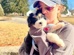 Megan Platt (@megplatt) • Instagram photos and videos