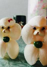 900+ SHELLS ideas in 2025