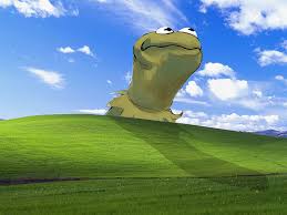 Anime, tokyo kushu, kaneki ken, hd wallpaper, edited, facebook. Kermit The Frog 1080p 2k 4k 5k Hd Wallpapers Free Download Wallpaper Flare