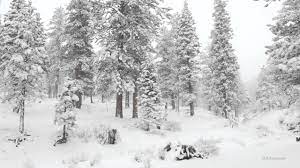We did not find results for: Winter Wonderland In 4k Resolution Youtube