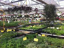 Maybe you would like to learn more about one of these? George S Plant Safari Garden Housecalls