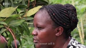 CYCLE OF POVERTY by Sven Kacirek & Daniel Muhuni