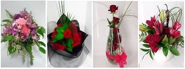 Bargain launceston flowers at eflorist from £13.99. The 9 Best Options For Flower Delivery In Dunedin 2021
