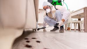 All of these products can be purchased at any home depot or. Pest Control Services May Not Be The Only Solution For Pests Try These Diy Ideas