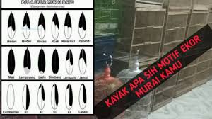 Selain burung murai batu yang berasal dari indonesia, kita juga perlu mengenal jenis burung ini yang berasal dari negara lainnya. Melihat Motif Ekor Murai Batu Untuk Pemula Youtube