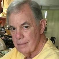 Alan M. Berk Obituary (2022)