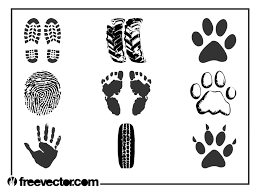 Traces synonyms, traces pronunciation, traces translation, english dictionary definition of traces. Prints And Traces Vector Set Free Vectors Ui Download