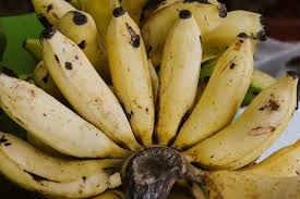 Menu pisang goreng crispy ini sangat menarik dengan tepung crispy yang begitu kaya menyelimuti adapun beberapa bahan yang diperlukan untuk membuat pisang goreng crispy kipas adalah sebagai berikut Jenis Pisang Dan Cara Pengolahannya Berbeda Ulas Lengkap Di Sini