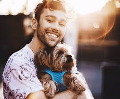 Acc is eager to help everyone make a match with just the right pet to suit their family. Pop Artist To Perform Free Concerts At Animal Shelters In August And September Shelterme Tv