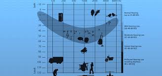 what an audiogram says about your hearing loss hearing like me