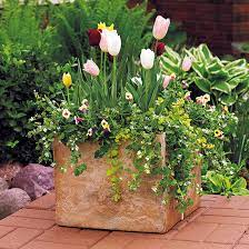 You'll have the advantage of being able to put color right where you want it. Easy Spring Container Ideas Garden Gate