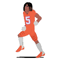 Cameron indoor stadium, durham, nc television: Clemson Tigers Gifs Tenor