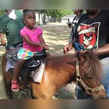 Recommends specific vendors based on your price range and city. Horse Pony Rental Peabody Party Rental