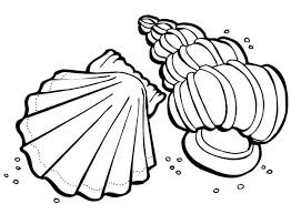 Zentangle stylized elegant black mandala for coloring page. Two Sea Shells Sea Animals Coloring Page Download Print Online Coloring Pages For Free Color Nimbus