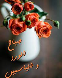 وهذا جوابي عن التقبيل وهذا شيء واضح للرجل أن يقبل جميع جسد زوجته ولها تقبيل جميع جسده فلايوجد دليل يحرم الاستمتاع بجميع الجسدالا الجماع في الدبر واثناء الحيض واثناء. ØµÙˆØ± ÙŠØ§Ø³Ù…ÙŠÙ† ÙˆØ±Ø¯