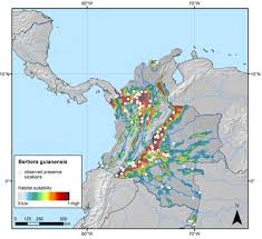 Image result for Bertiera