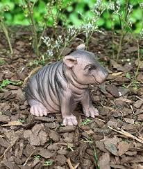 Harriet The Miniature Hippo Zoo Animals Fairy Garden Etsy In 2020 Fairy Garden Accessories Fairy Garden Animals Fairy Garden Etsy