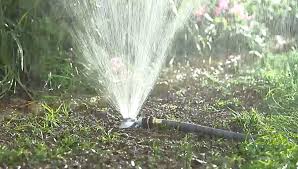 When and how to water the lawn. Watering New Grass Seed How Often How Much To Water New Seeds