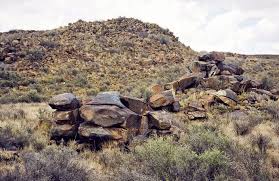 Image result for Plinthus karooicus