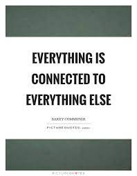 Everything Is Connected To Everything Else Picture Quotes