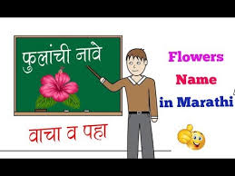 flowers name in marathi youtube