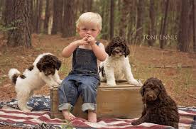 Our address (by appointment only) 1800 amity hill rd. Doo South Labradoodles Home Of The Very Best Labradoodles You Can Find