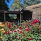 Open Sunday  — San Mateo Garden Center event image