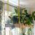 Ceiling Hangings