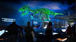 Sue: The T. rex Experience opens Saturday at Saint Louis Science Center