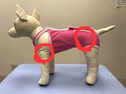 アステール動物病院