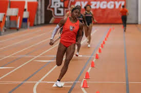 Image result for Barleria ameliae