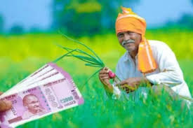 PM Kisan Samman Nidhi Yojana 11th Installment: 5 Reasons Why There Can Be A  Delay In Receiving Money