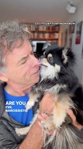 Little Ollie the perfect dog#wmdwrites