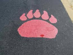 Bhp Bear Paw Bear Paws Kids Rugs Honea Path