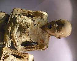 Last updated september 18, 2020. Mumien Von Guanajuato Wikipedia