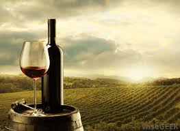 Maybe you would like to learn more about one of these? What Are The Signs Of An Allergic Reaction To Alcohol