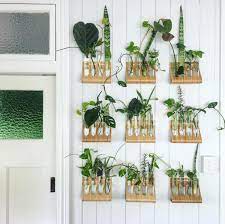 Propagation Station Available At Ikea Ikea Plants Propagating Plants Plants