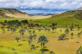 El venezuela és un país d'amèrica del sud. Bilder Nationalpark Canaima Venezuela Franks Travelbox