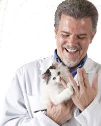 How to Successfully Pre-book Appointments • CVMA Practice Diagnostic  Report: A National Comparison • BIG Ideas Explo