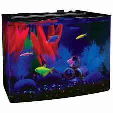 Glofish 3 Gal Fish Tank Aquarium Starter Kit W Filter Blue Led Light Pet Home Glofish Aquarium Kit Glofish Glofish Aquarium