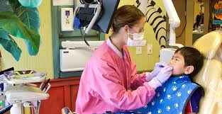Schedule your child's dental or orthodontic appointment with our experienced doctors. Dentistry For Kids Pediatric Dentist Wilsonville Or