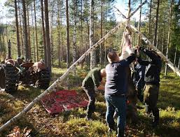Image result for site:byggahus.se Skogen