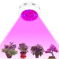 Since a 300 watt light is really only good for lighting a single plant, that makes this light quite useful and is the reason for its inclusion on this list. Led Grow Lamp 300w Ufo Plant Light Grow Led Grow Light For Indoor Plants Grow In Growbox Greenhouse Grow Tent With Ir Uv Light Garden Outdoors Gardening