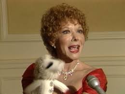 853 She Shari Stock Videos, Footage, & 4K Video Clips