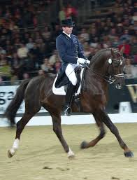 | meaning, pronunciation, translations and examples. Dressage Wikimedia Commons